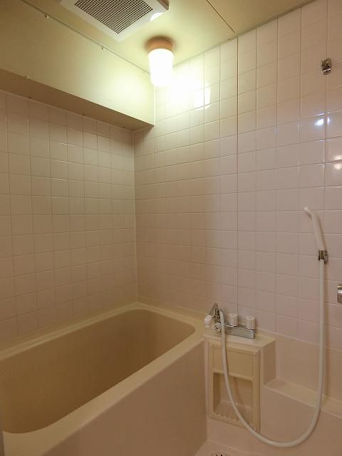 �y�o�X�z�@